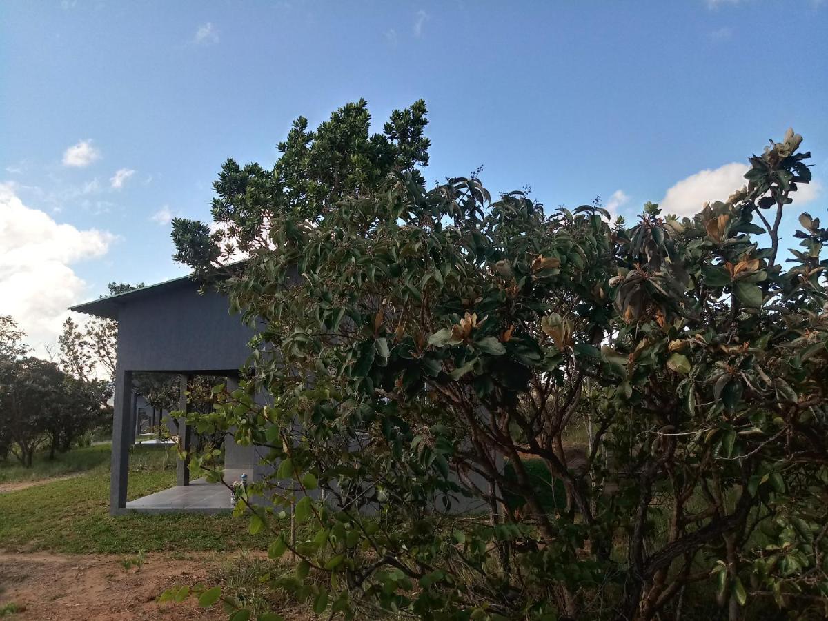 Chales Recanto Da Baleia Alto Paraíso de Goiás Exterior foto